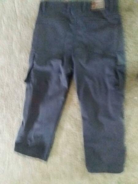 Motorbike cargo /Kevlar high ranger pants just washed them to ti