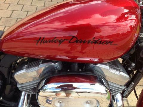 Harley sportster superlow