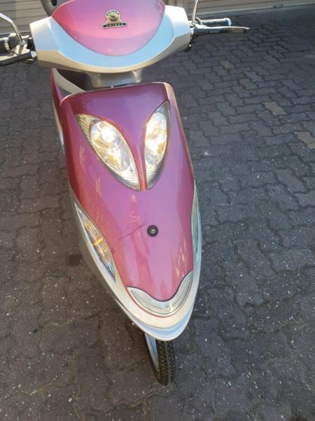 ELECTRIC SCOOTER SHINER MOPED