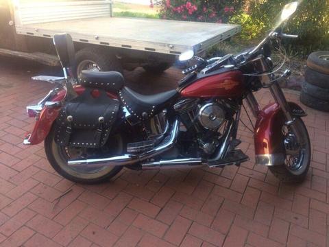 For swap or sale Harley Softtail
