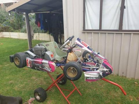 Cadet Go Kart Chassis & Engine in Good Condition