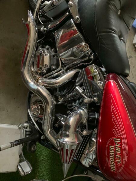 2008 Harley Davidson softail custom