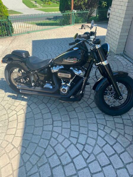 2018 Harley Davidson FLSL Slim