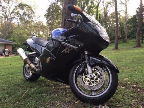 Honda CBR 1100 Blackbird