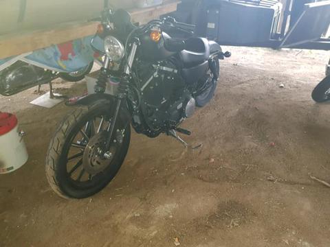 Sportster 883 (pics wont upload been tryin for hrs)