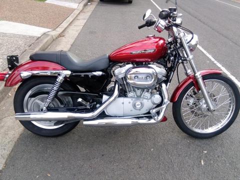 Harley Davidson Sportster XL883C