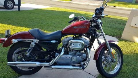 Harley Davidson XL883