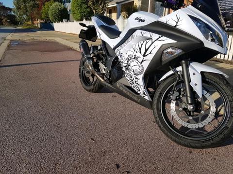 Kawasaki Ninja 300 2013