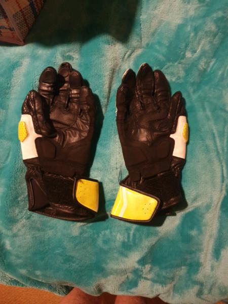 Alpine stars Leather motorcycle gloves