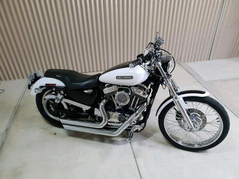 Harley Davidson 1200 custom
