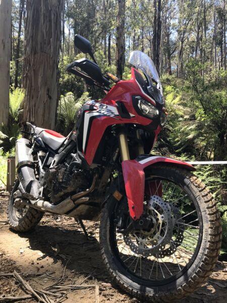 Honda Africa Twin DCT (automatic)