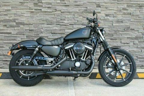 2019 Harley-Davidson XL883N Iron 883 883CC Cruiser