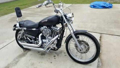 Harley Davidson 1200 custom sporty