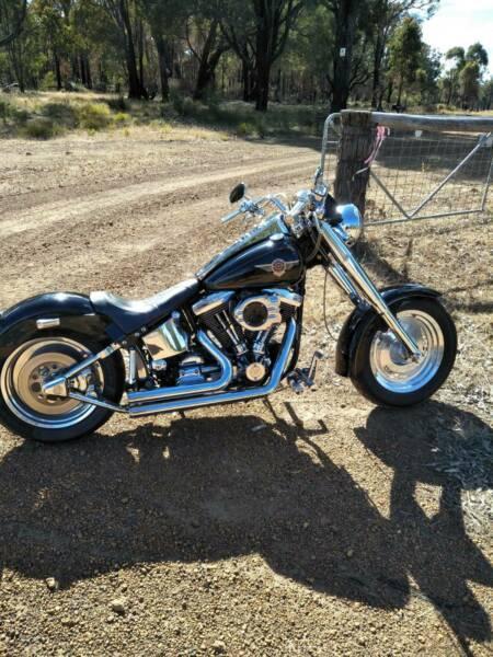Harley Davidson fatboy custom