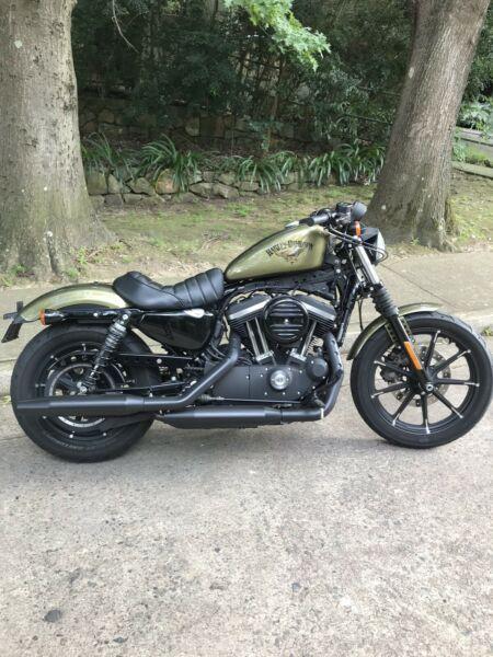 Harley Davidson iron 883 my16