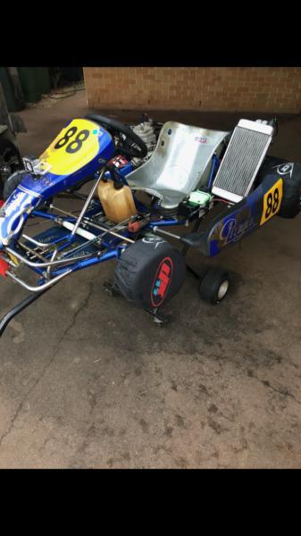 Go kart and trailer- ready to race!