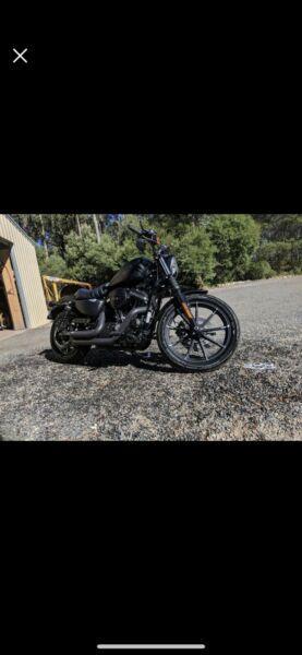 Harley iron 883