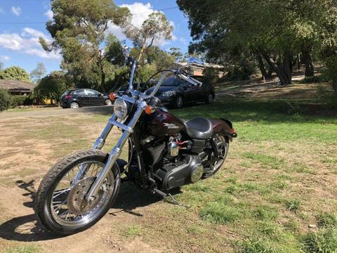 2006 Harley Dyna Street Bob