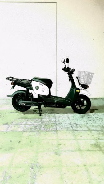 Electric Scooter BUSY Moped