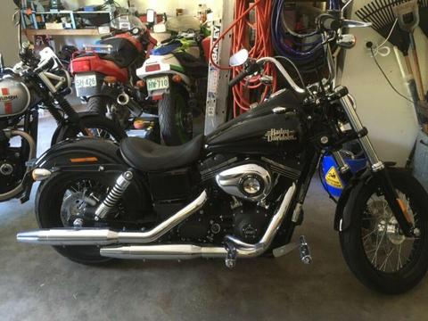 Harley Davidson 2016 street bob