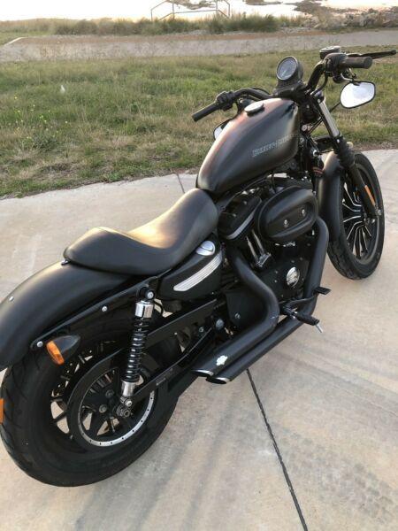 2011 Harley Davidson Iron 883 Sportster