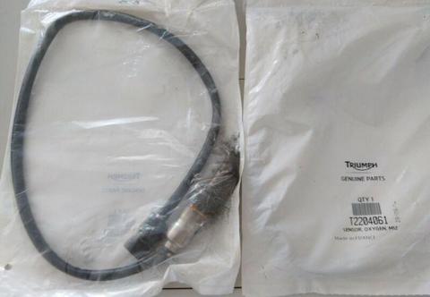 Triumph motorcycle Oxygen sensors (pair) T2204061