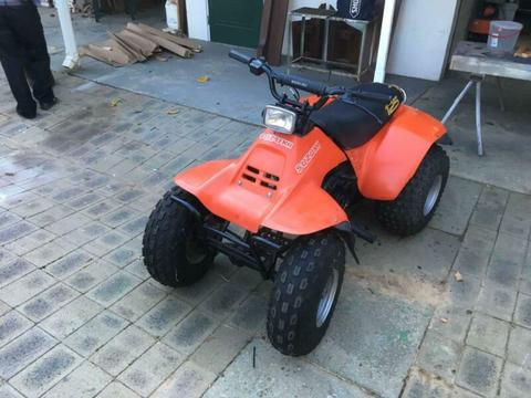 Suzuki LT125 Quad Collectable first year and model of Quad