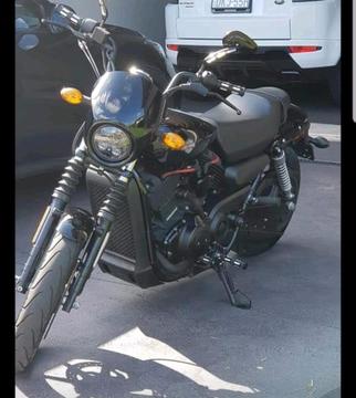 Harley Davidson street 500xg
