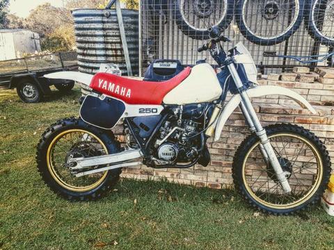 Wanted: Wanted older yz250 project