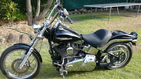 Harley Davidson Softail Custom 96