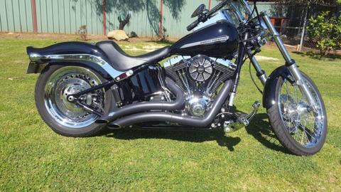 Harley Davidson softail standard 2015