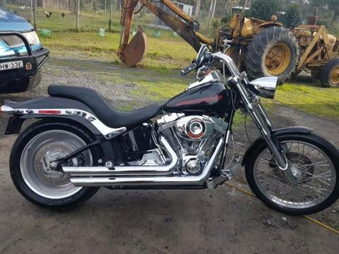 harley davidson softtail