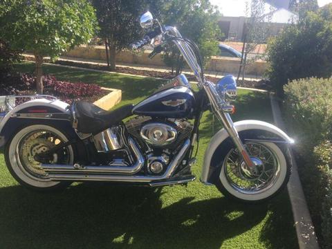 2007 softail deluxe