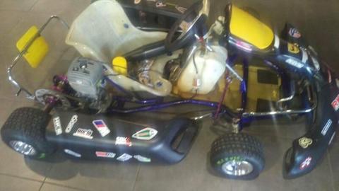 Arrow go kart with fresh j motor