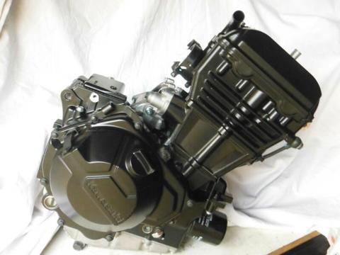 2013 - 2018 Kawasaki Ninja 300 Motor Engine Low KM