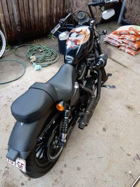 Harley Davidson iron 883 sportster
