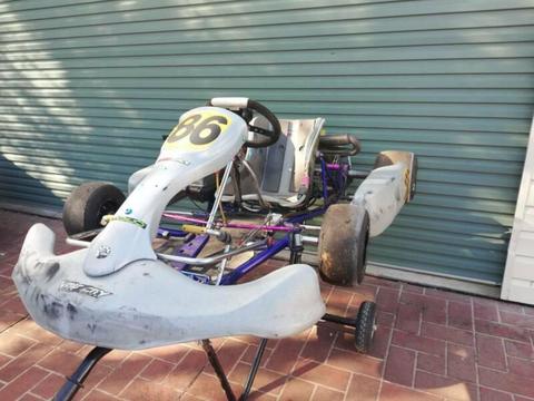 Rotax 125 Tag Restricted Go Kart