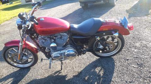 Harley Davidson Sportster Low 833XL