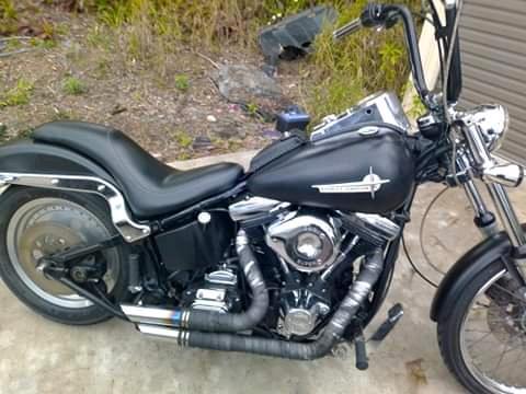 91 harley Davidson flst softail