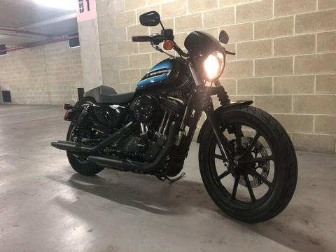 Harley Davidson iron 1200 XL1200NS