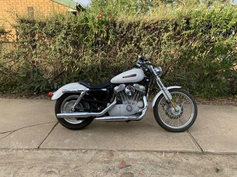 2008 Harley Davidson Sportster XL 883C Series - White