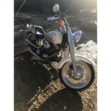 Harley Davidson 1994 fls special