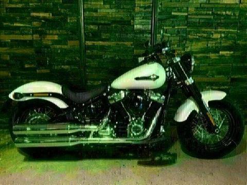 2019 Harley-Davidson FLSL Slim (107) (Solid)