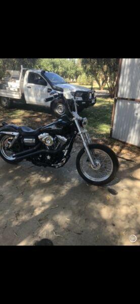 Harley Davidson street bob