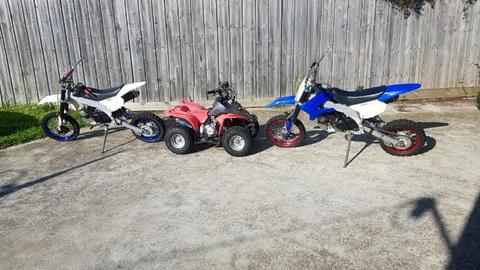 Pitbikes and Quad