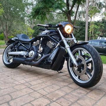 Harley Davidson V-rod- nightrod