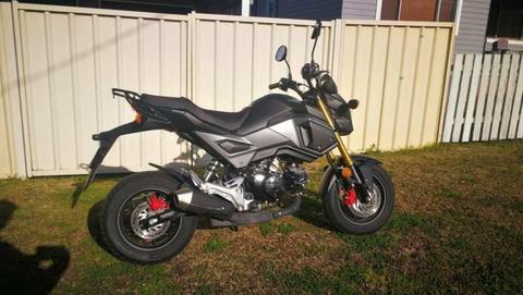 Honda Grom Motorcycle