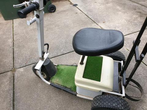 Golf buggy/ scooter