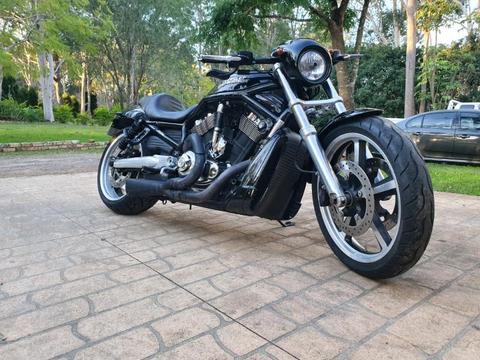 Harley Davidson Night Rod - V-rod