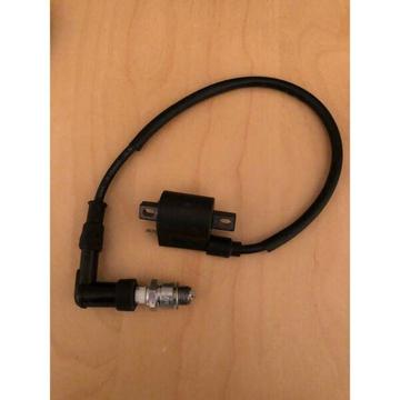 motorcycle ignition coil with spark plugs